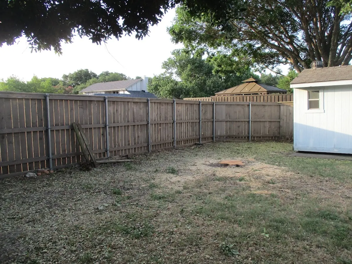 Cleared yard after professional tree removal in Woodbridge