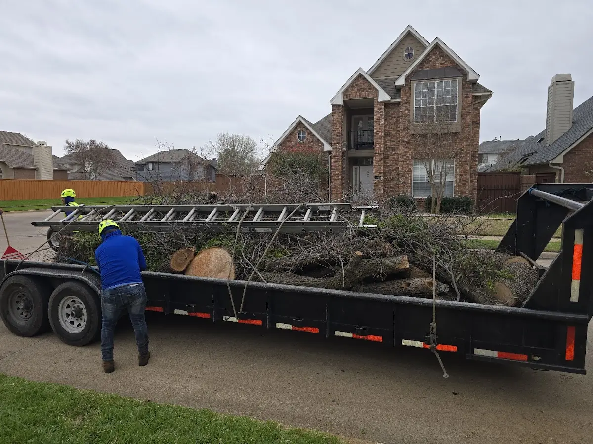 Expert Lot Clearing with proper safety equipment in Woodbridge